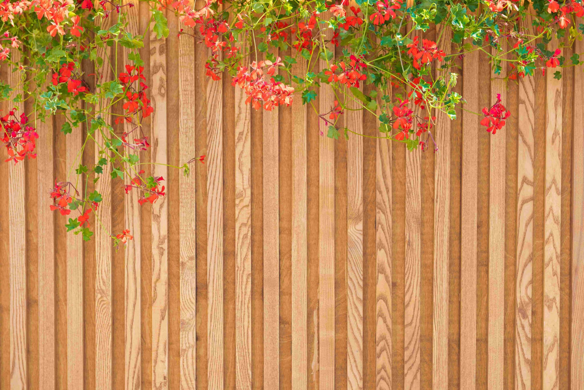 wooden-slats-wall-with-wild-plants-and-red-flower